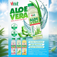Originele Aloë Vera Drank 500ml PET Fles Vinut Natuurlijk Fruit Sap Drank Private Label Fabriek Directe Groothandelsprijs