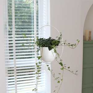 Support de plante suspendu en métal argenté avec cadre circulaire et support pour un seul pot de fleurs, support de plante suspendu moderne et minimaliste - Product Image 5