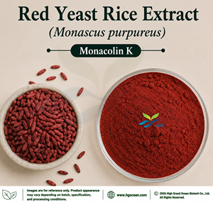 Suministro Directo de Fábrica HGO de Extracto Natural de Arroz de Levadura Roja, Especificación de Grado Alimenticio, Monacolina K 5%, Extracto Estandarizado - Product Image 1