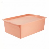 Caja de Almacenamiento de Plástico PP Personalizada OEM con Tapa, Contenedor Organizador Apilable
