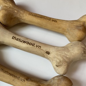 Jouets à mâcher pour chiens en bois de bonne qualité, bâtonnets de dentition durables en bois massif pour chiens, en forme d'os, fabriqués au Vietnam - Product Image 2