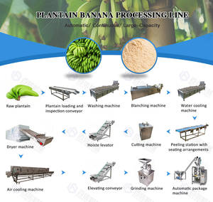 Machine de fabrication de poudre de banane 30-150 acier inoxydable de machine de poudre de banane de maille industriel - Product Image 4