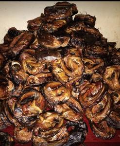 Poisson fumé africain séché de qualité supérieure, biologique, faible teneur en sel, emballé sous vide, saveur naturelle riche pour une utilisation authentique à la maison ou au restaurant - Product Image 2