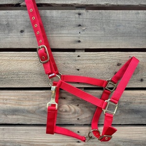 En gros, Licol d'entraînement en nylon pour cheval, confortable, robuste, réglable et durable, équipement d'équitation en gros - Product Image 5