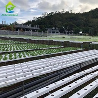 Système hydroponique NFT horizontal commercial en PVC avec canaux de culture à haut rendement pour laitues, herbes aromatiques, légumes-feuilles, garantie 1 an