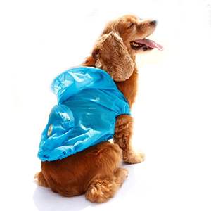 Chubasquero plegable con cremallera ajustable para perros de viaje, ropa impermeable definitiva para mascotas Thunder-Paw - Product Image 6