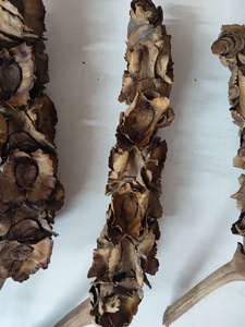 Decoración Interior del acuario, Material de planta cruda Natural, Palma femenina, flor seca de palmera para decoración, manualidades DIY - Product Image 4