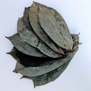 Dehydrated Raw Dried Soursop Leaves Natural Graviola Herbal Health <b>Tea</b> Drinks Premium Guanabana Bulk Price - Product Image 1