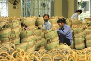 Solución de almacenamiento de bandeja de servicio de mimbre de Vietnam elegante al por mayor para cocina, sala de estar, hotel o restaurante - Product Image 5