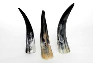 Corne à boire en corne de buffle de style viking, faite à la main, durable et de haute qualité - Product Image 6