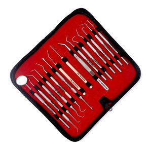 Kit d'hygiène buccale professionnel pour le nettoyage dentaire – Outils en acier inoxydable : Cure-dents, miroir, gratte-tartre, pinces, détartreurs pour l'élimination de la plaque et du tartre - Product Image 5