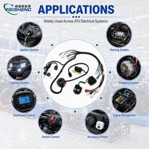 EOPOAYI 电动线束套件适用于 Taotao Coolster 110cc/125cc ATV 四轮车四冲程铜导体 PVC 绝缘 - Product Image 2