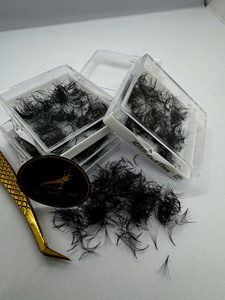 Extensions de cils pré-faites volume pour artistes, best-seller, haute qualité, cils individuels, courbure CC, longueurs mixtes - Product Image 2