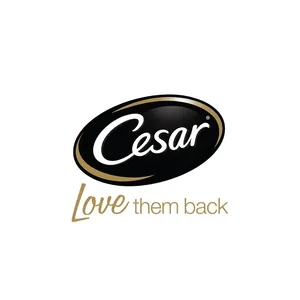 CESAR Premium 100g Comida húmeda para perros Comida suave y sabrosa de carne e hígado para perros adultos Malasia - Product Image 6