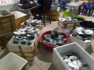 สาหร่ายโนริ/ลาโต/อาราโรเซป อบแห้งเกรดพรีเมียม ยี่ห้อวิลาโคนิค บรรจุภัณฑ์ขนาดใหญ่จากเวียดนาม ราคาดีที่สุด / อันนา โด วิลาโคนิค - Product Image 6