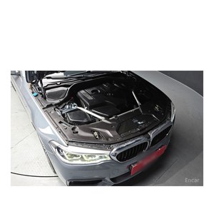 BMW Serie 5 530i M Sport Plus 2019, 107.211 km, Automático, Volante a la Izquierda, Asientos de Cuero, Norma de Emisiones Euro V, Cámara Trasera - Product Image 6