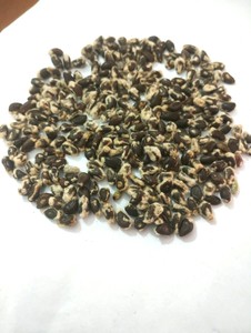 Graines de coton entières de qualité supérieure pour l'alimentation du bétail, fournisseur en gros - Product Image 6