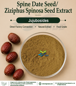 HGO Fourniture directe d'usine de graines naturelles de dattes d'épine/d'extrait de graines de Ziziphus Spinosa Jujubosides 0.1 / 0.2 (extrait standardisé) - Product Image 1
