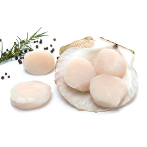 Viande de palourde congelée de qualité supérieure, vente en gros, approvisionnement en vrac, prête à être expédiée, qualité alimentaire, exportation mondiale - Product Image 3