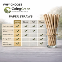 Paille en papier kraft 100% compostable de qualité alimentaire pour boissons froides et bubble tea