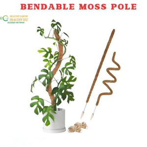 Poste de Musgo de Coco Curvado y Moldeable de Alta Resistencia con Núcleo de Aluminio, Resistente a la Corrosión, Flexible, para Decoración del Hogar - Product Image 4