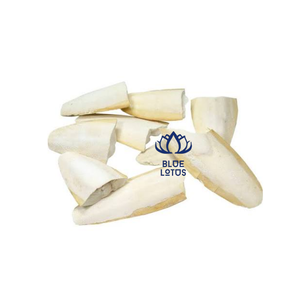 BEST SELLING BLUE LOTUS Os de Seiche Durable de Haute Qualité, Pur, Riche en Calcium, Complément Alimentaire Minéral pour Oiseaux, Exportation en Vrac - Product Image 2