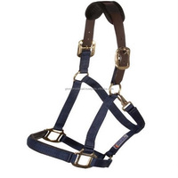 Weaver-licou de cheval en cuir et Nylon, réglable, avec plusieurs couleurs vives, rembourré