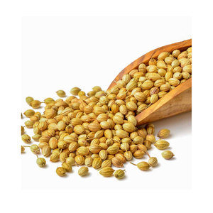 Semillas de Cilantro a Granel, Secas, Crudas, Naturales, Sin OMG, 25 kg, para la Industria de Especias y Uso Culinario - Product Image 6