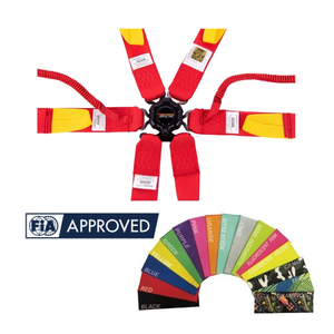 Custom Logo Motorsport Safety Belt FIA Approved 8853-2016 TBRACING OEM/ODM Brand Wholesale High Tension Webbing 6 <b>Points</b> - Product Image 4