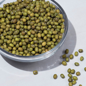 Prix d'usine, qualité supérieure, haricots mungo verts, haricots Vigna, haricots verts - Product Image 6