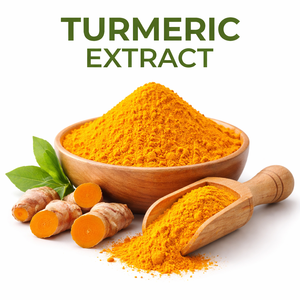 Extracto de Cúrcuma Orgánico en Polvo 95% Curcumina Curcuma Longa Extracto Herbal Ingrediente Nutracéutico Proveedor Mayorista Fabricante - Product Image 1