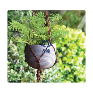 Corde en fibre de coco PREMIUM, écologique, provenant d'une usine du Vietnam, pour le ligaturage des plantes, le soutien des arbres, l'emballage et les travaux manuels - Product Image 1