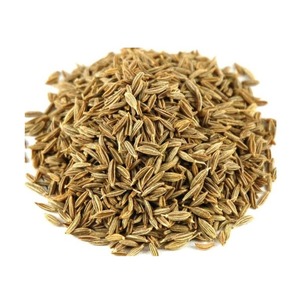 Graines de cumin crues séchées de qualité supérieure de Singapour, paquet de 100 kg, durée de conservation de 2 ans, disponible en Inde - Product Image 1