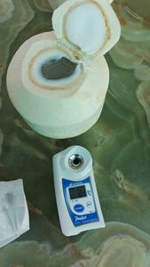 Coco Diamante Entero FRESCO de Primera Calidad, con Cáscara, Orgánico, 870g 900g, Calidad Vietnamita, Bebida Tropical Natural y Saludable - Product Image 2