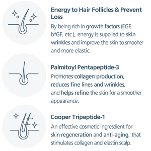 Premium Korean Skincare <b>Collagen</b> Elastin Scalp Booster Serum with Menthol for Hair Volume Care oem - Product Image 4