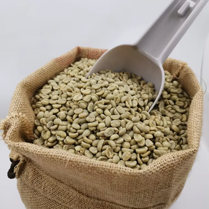 เมล็ดกาแฟโรบัสต้าเขียวคุณภาพสูงแบบยั่งยืน ขนาด 16 เวียดนาม คุณภาพสูง ได้รับการรับรอง USDA Organic และ ISO 22000 เกรด G1/G2 - Product Image 1