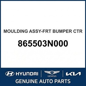 อุปกรณ์ตกแต่งตัวถังและขอบประตูรถยนต์ Equus รุ่นใหม่ 865503N000 - Product Image 1