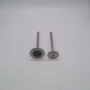 Válvula de Admisión y Escape para Maquinaria de Movimiento de Tierras D320, OEM 9H4811 2M7727, Piezas - Product Image 6