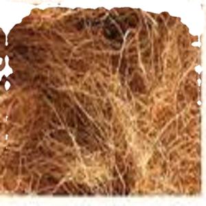 Fibra de coco natural de alta calidad para colchones, cepillos, cuerdas, esteras para cultivo, fibra de coco para mantillo, venta al por mayor de La India - Product Image 1