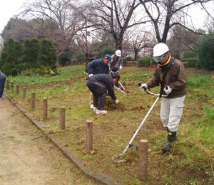 Débroussailleuse Industrielle Professionnelle DIY à Ciseaux Rotatifs 230-280mm Largeur de Coupe Certifiée CE Japon-Idech - Product Image 4