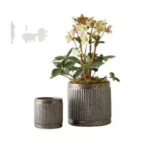 금속 아연 도금 금속 냄비 현대 럭셔리 빈티지 식물 바구니에 인쇄 된 정원 재배자 및 냄비