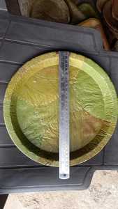 Assiettes rondes jetables traditionnelles en feuilles de palmier biodégradables et compostables Arya Digital, en provenance du Madhya Pradesh, pour les fêtes - Product Image 6