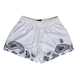 Pantalones Cortos de Baloncesto con Malla Gráfica de Calidad Premium Personalizados, Nuevo Estilo Vintage de Moda para Unisex, Ropa de Verano - Product Image 6