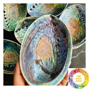 Matériel artisanal en coquille d'ormeau pour la mosaïque, projets décoratifs, produits faits à la main, découpe et design sur mesure - Product Image 5