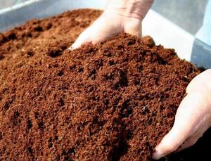 Bulk Vietnam Coconut Peat Coco Peat <b>Blocks</b> and Loose <b>Coir</b> Substrate for Horticulture Nursery Hydroponics and Farming - Product Image 5