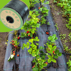 20มม. เส้นหยด3LPH PC emitters ช่องว่าง35ซม. ฟาร์มดอกไม้ในเชิงพาณิชย์ - Product Image 4