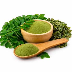 Polvo de Moringa Orgánico, Superalimento Natural Rico en Nutrientes, Hojas Finamente Molidas para Smoothies, Uso Herbal, Suministro a Granel, India - Product Image 1