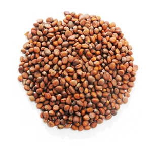 เมล็ดหัวไชเท้าพรีเมี่ยม | ส่วนผสมจากธรรมชาติสำหรับซุปและโจ๊ก - Product Image 4