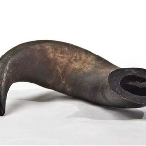 Friandises à mâcher pour chiens et chats en corne de buffle, écologiques, durables, de qualité supérieure, fabriquées à la main, exportées par ZF Global, usine indienne de cornes, emballage en carton - Product Image 1