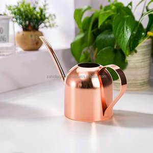 <b>Copper</b>-Plated Watering Can Double Handle Large Capacity Classic Look Gold Metal Watering Can Tools Durable - Product Image 1